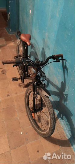 Shulz bubble race 20