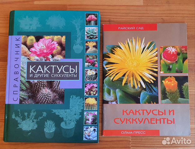 Кактусы и другие суккуленты справочник