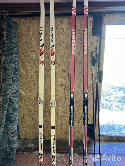 Беговые лыжи