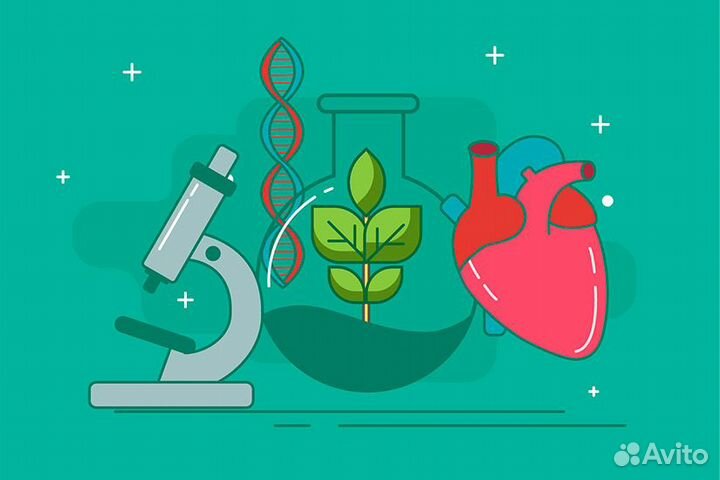 Репетитор по Биологии ЕГЭ