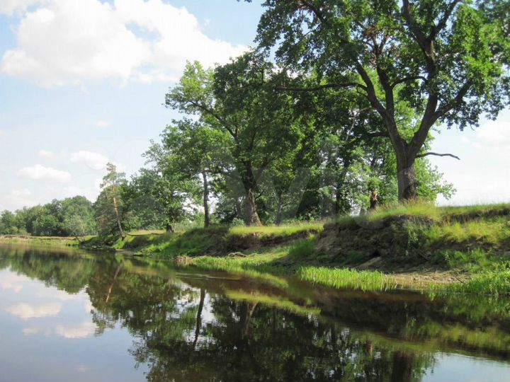 Участок 6,3 га (СНТ, ДНП)