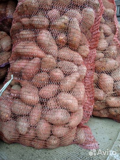 Картофель с доставкой на дом