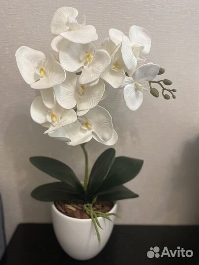 Орхидея фаленопсис искусственная