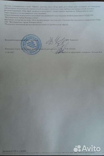 Козье молоко,творог,сыр