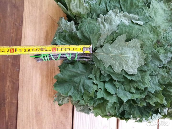 Веники для бани