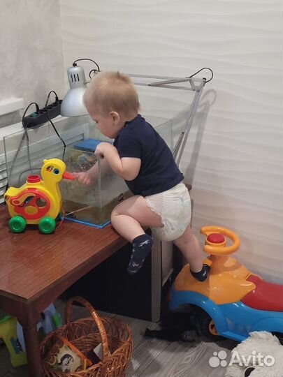 Аквариум для черепах