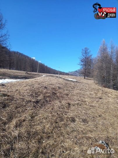 Инвестиции в землю на Алтае / коммерческая земля