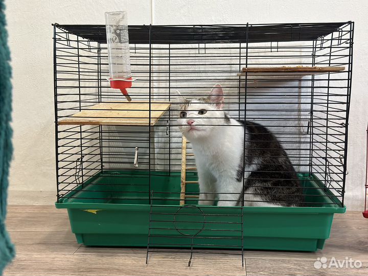Клетка для грызунов