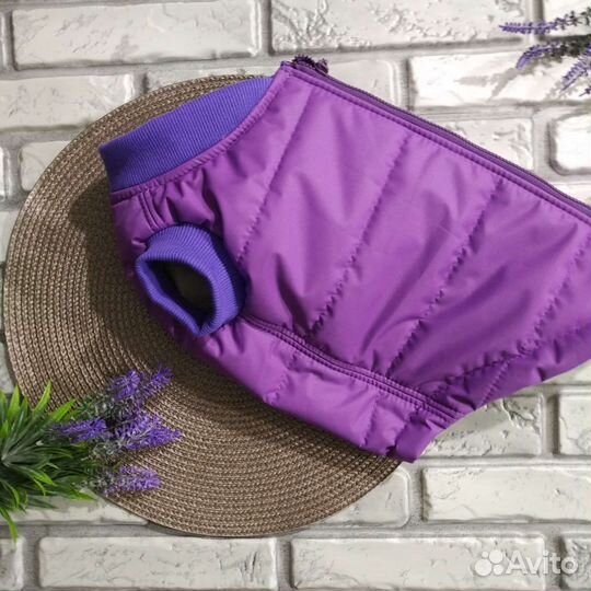 Одежда для собак