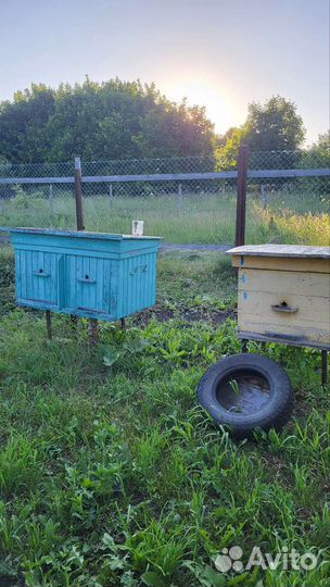 Улей для пчел бу