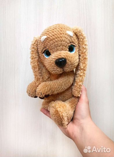 Собака спаниель