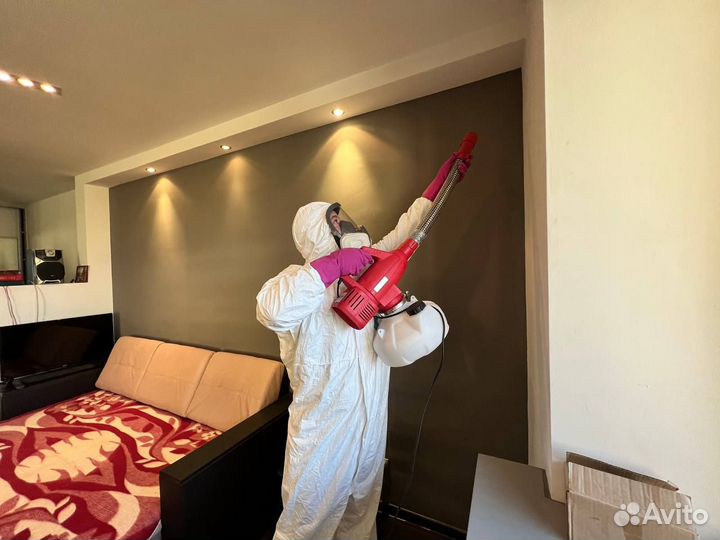 Дезинфекция, уничтожение тараканов, клопов