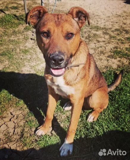 Помогите спасти