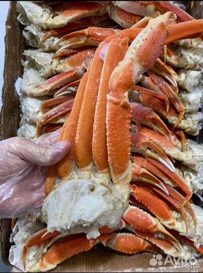 Клешни краба Стригуна (опилио)