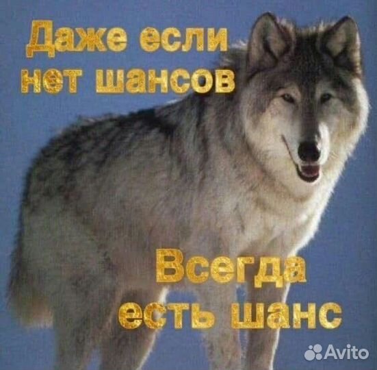 Друг для Dota2
