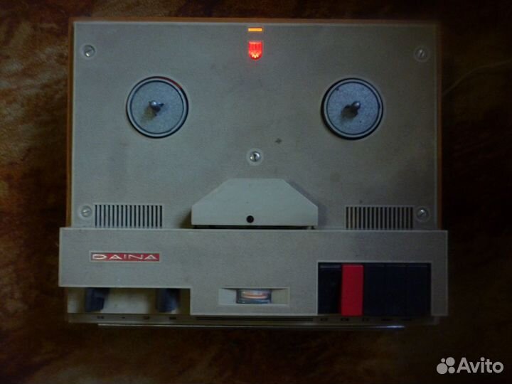 Дайна Эльфа 29