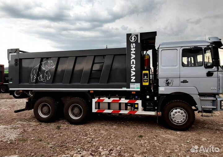 Shacman (Shaanxi) F3000, 2023