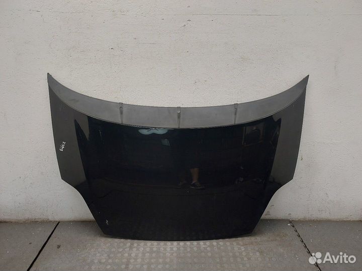 Капот Fiat Punto Evo, 2010