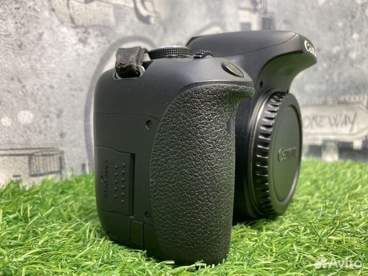 Canon EOS 750D (97.800 кадров)