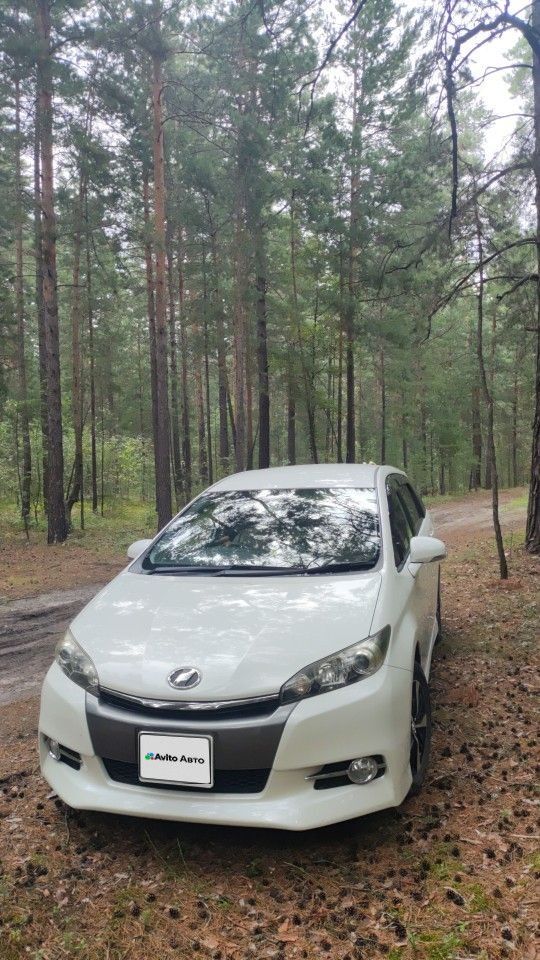 Toyota Wish: фото из отзыва