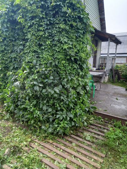 Дача 66,9 м² на участке 6 сот.
