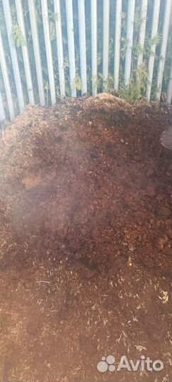 Конский навоз (перегной)