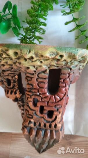 Аквариумистика