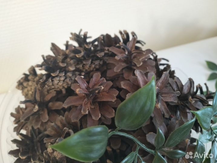 Шишки сосновые для поделок декора интерьера