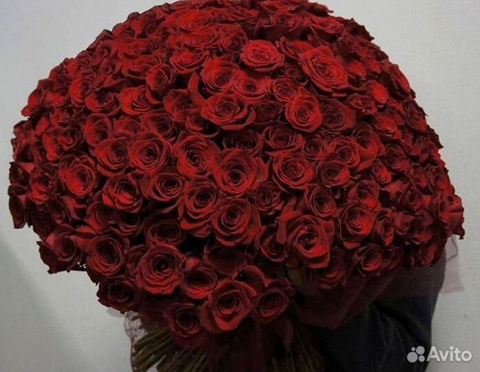 Розы высокие Доставка цветов