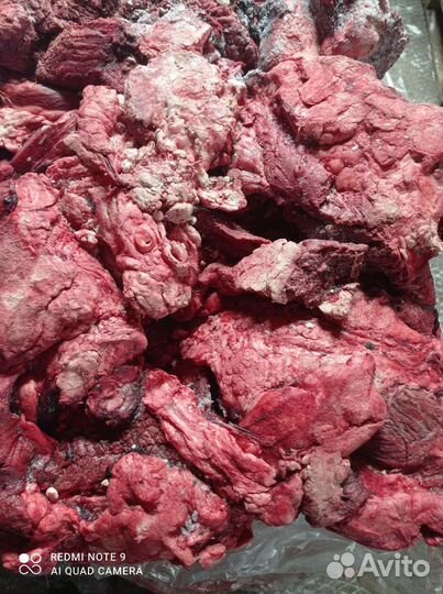 Мясо для собак и кошек Уши говяжьи опалнные