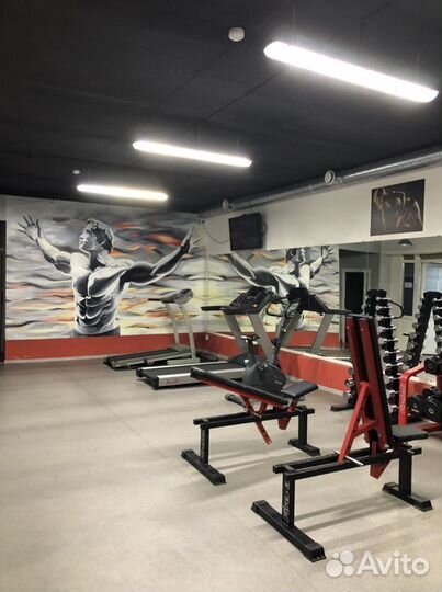 Тренажеры Оборудование