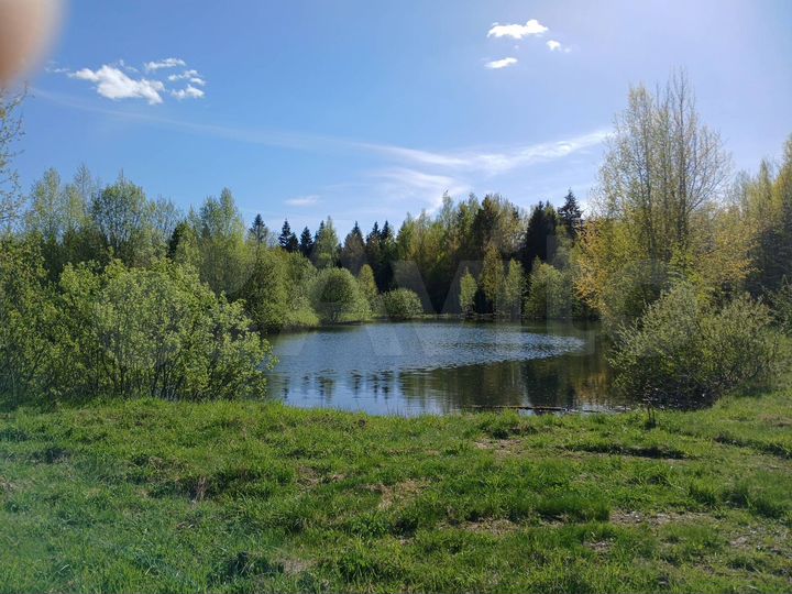 Участок 10 сот. (ИЖС)