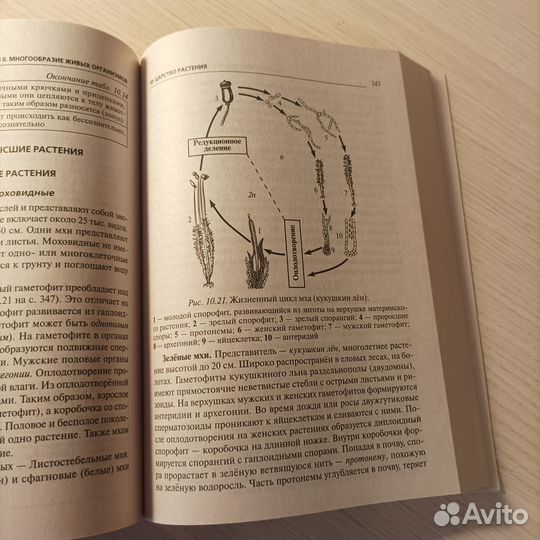 Большой справочник по биологии для подготовки к ег