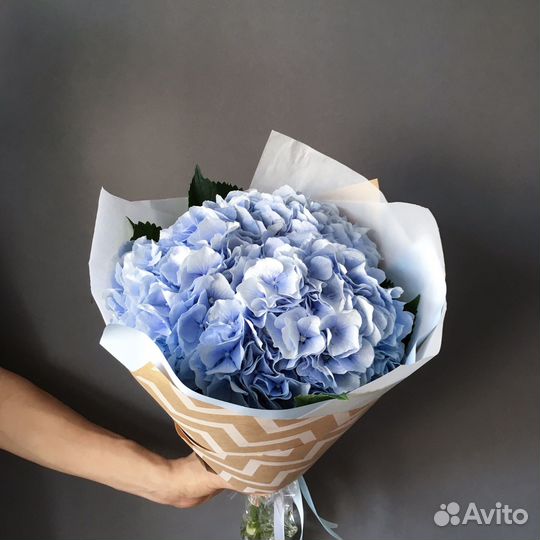 Букет из синей гортензия, цветы доставка