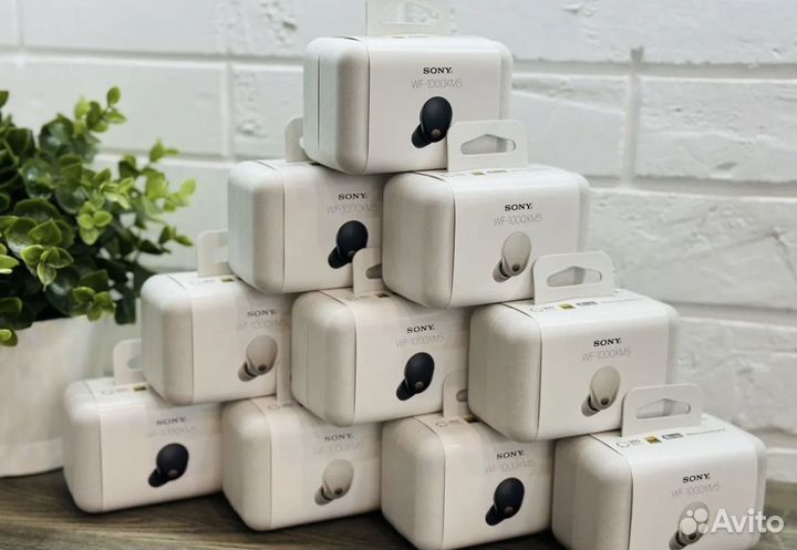 Наушники Sony WF-1000XM5