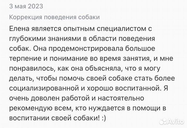 Кинолог. Дрессировка и воспитание собак