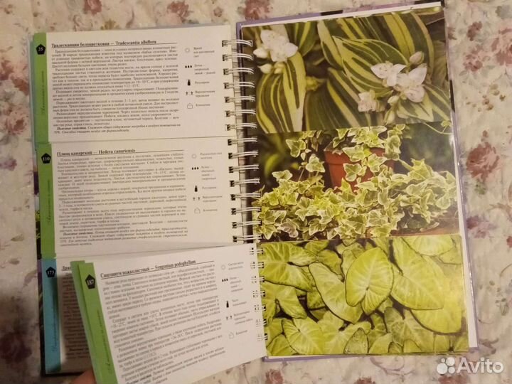 Книги по цветоводству