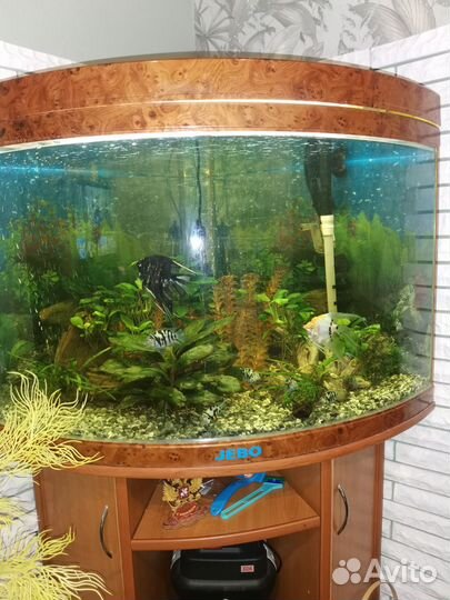 Аквариум с тумбой jebo