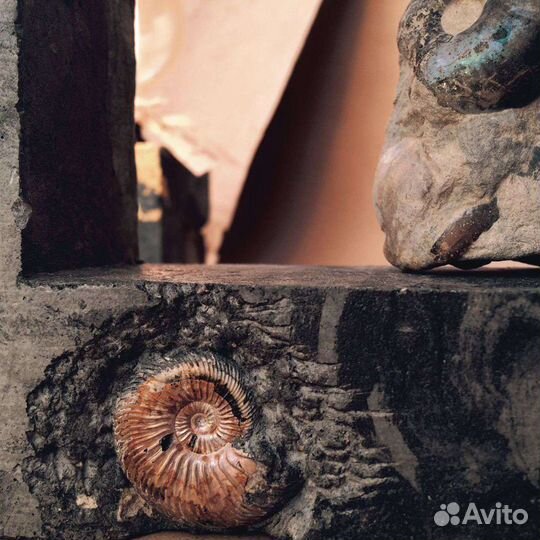 Декоративная рамка