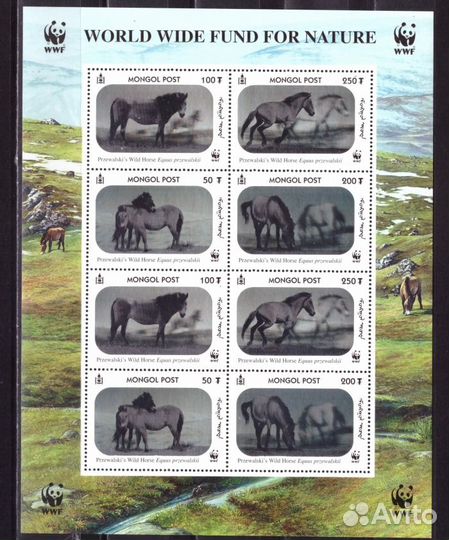 Монголия, 2000. Фауна, лошадь Пржевальского (мл, голограмма)
