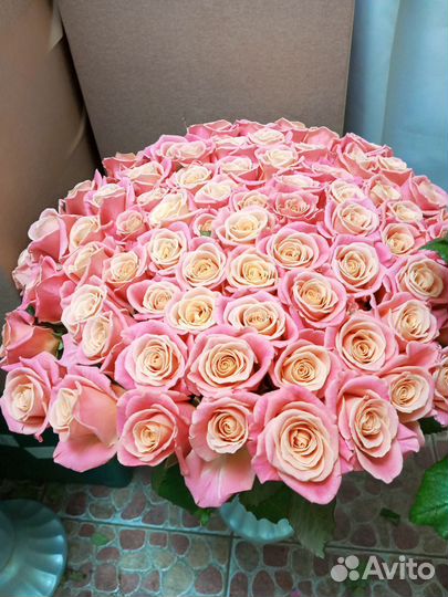 51 роза цветы с доставкой, белые, кораловые