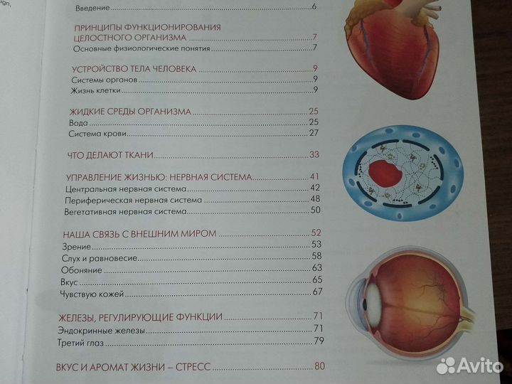 Билич. Большой атлас по анатомии и физиологии