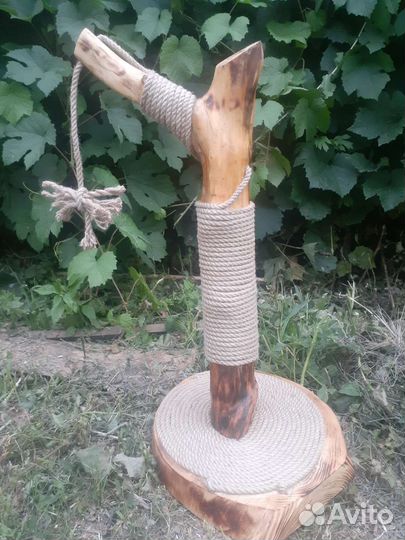 Когтеточка