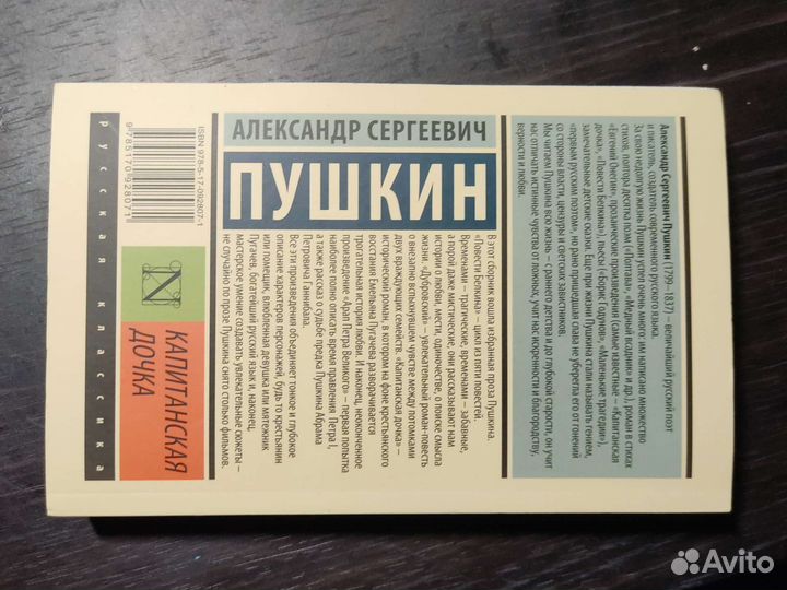 Книга капитанская дочка