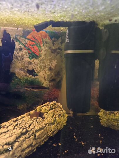 Аквариум 70л