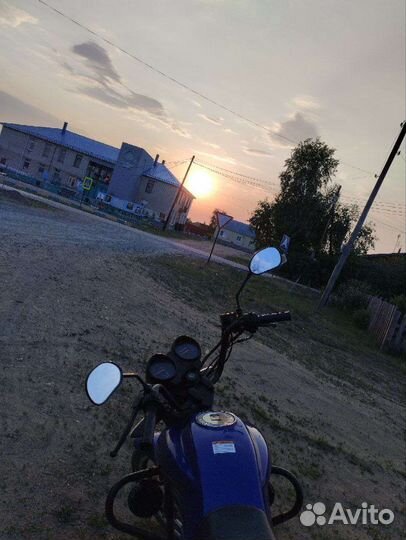 Альфа спорт эдишен
