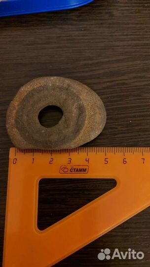 Окаменелости аммонит куриный бог