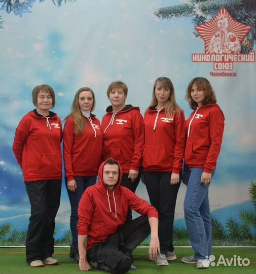 Школа дрессировки собак. Центр канистерапии