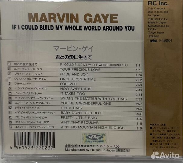 Marvin Gaye If I Could Build My Whole World