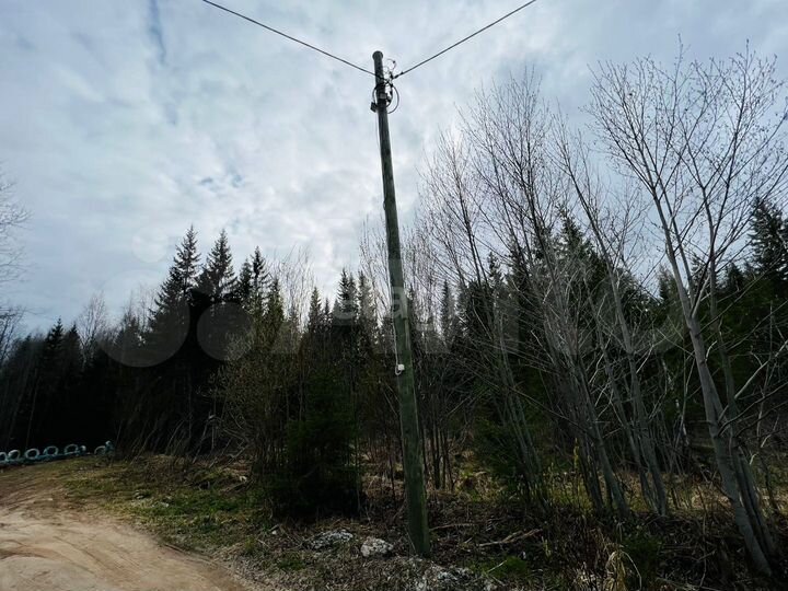 Участок 10,4 сот. (СНТ, ДНП)